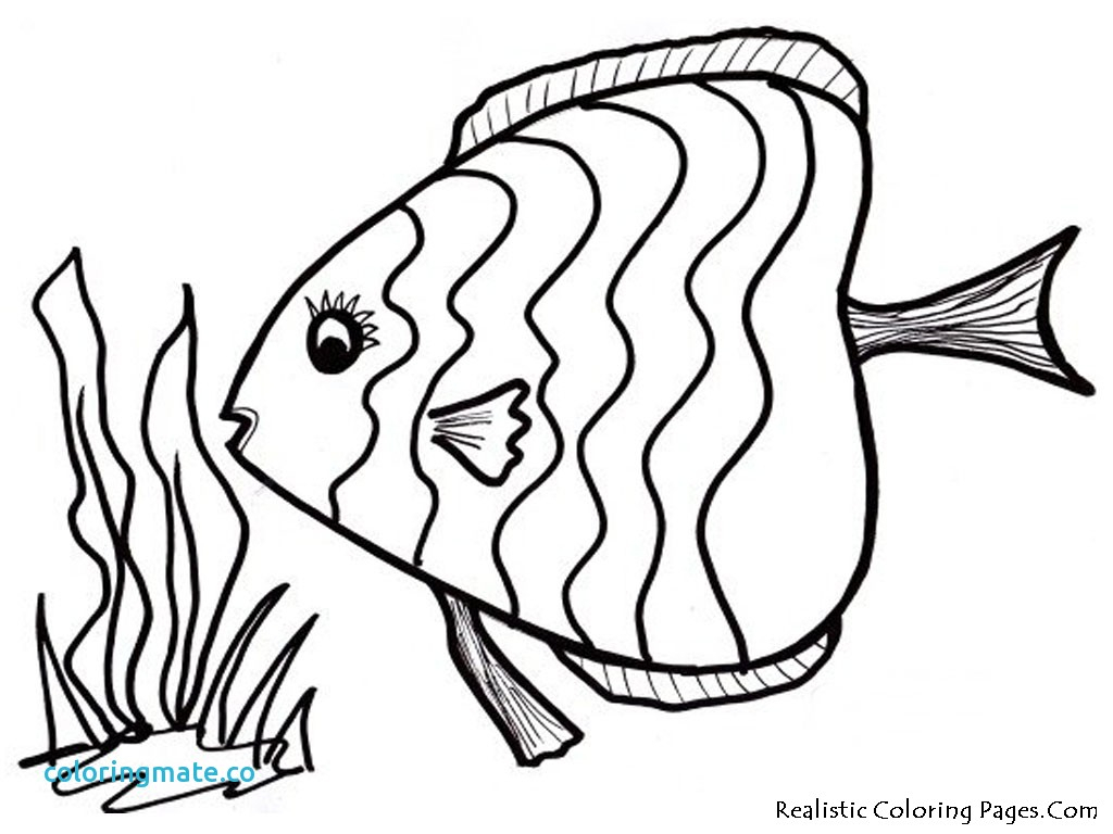 Tropical Fish Coloring Pages Coloring Page Fish Unique Tropical 1024x768 Tropical Fish Coloring Pages Coloring Page Fish Unique Tropical