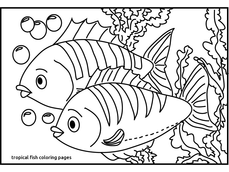 Tropical Fish Coloring Pages Printable 800x600 Tropical Fish Coloring Pages Printable