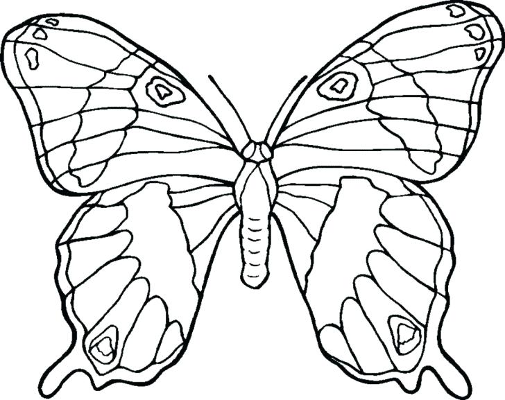 Butterfly Printable Coloring Pages Monarch Butterfly Coloring 728x577 Butterfly Printable Coloring Pages Monarch Butterfly Coloring