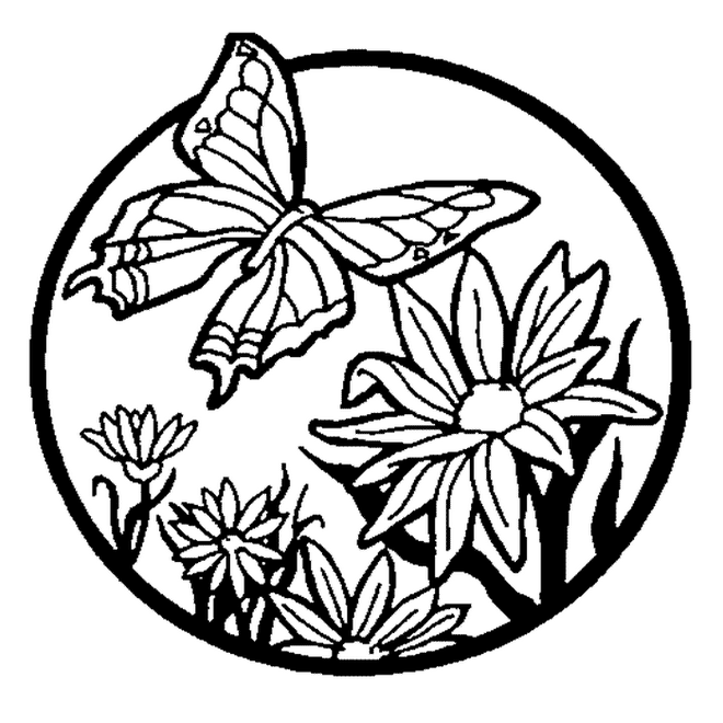 Butterfly And Flowers Coloring Pages Coloring Pages 660x660 Butterfly And Flowers Coloring Pages Coloring Pages