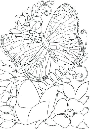 Coloring Pages Flower Flower Coloring Pages For Kids To Print Hard 366x525 Coloring Pages Flower Flower Coloring Pages For Kids To Print Hard