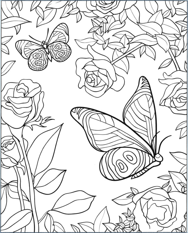 Encantador Coloring Pages Of Butterflies And Flowers Modelo 650x804 Encantador Coloring Pages Of Butterflies And Flowers Modelo