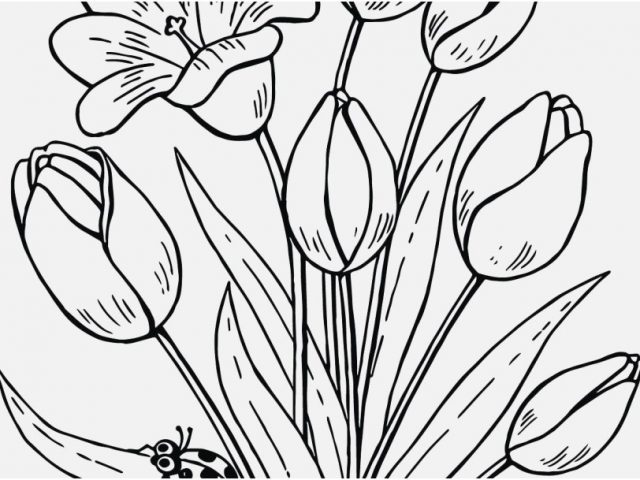 Fall Flowers Coloring Pages Image Awesome Butterfly Flower 640x480 Fall Flowers Coloring Pages Image Awesome Butterfly Flower