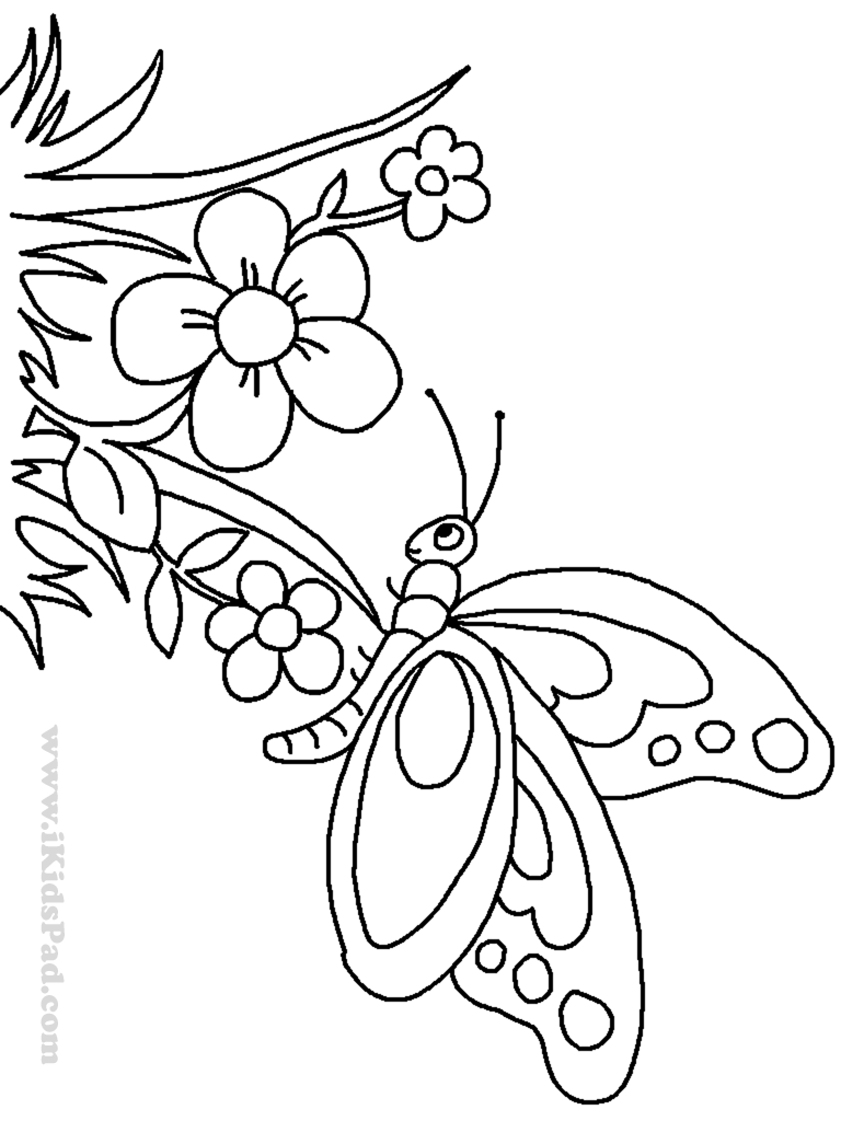 Printable Coloring Pages Of Flowers And Butterflies 768x1024 Printable Coloring Pages Of Flowers And Butterflies