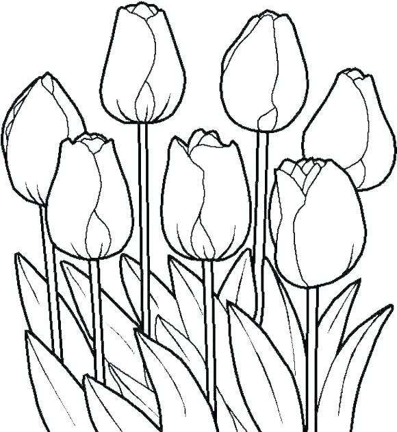 Coloring Pages Flowers And Butterflies Deepart 580x630 Coloring Pages Flowers And Butterflies Deepart