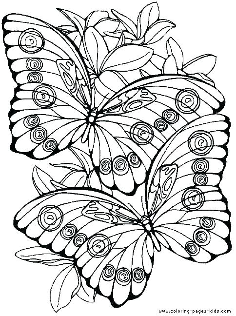 Flowers And Butterflies Coloring Pages Shippa.co 484x648 Flowers And Butterflies Coloring Pages Shippa.co