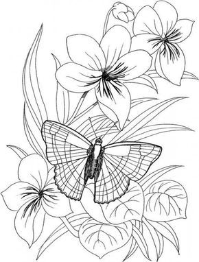 Butterfly Flower Coloring Pages 290x382 Butterfly Flower Coloring Pages