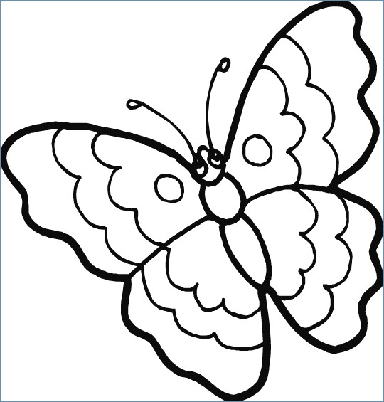 Butterfly Flower Coloring Pages Cute 540x565 Butterfly Flower Coloring Pages Cute