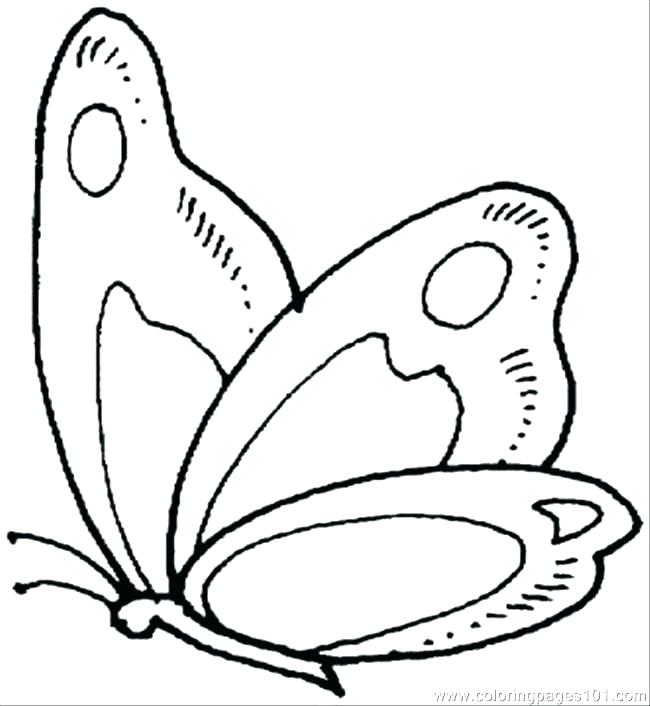 Butterfly Life Cycle Coloring Page Pdf Free Printable 9 Pag 650x706 Butterfly Life Cycle Coloring Page Pdf Free Printable 9 Pag