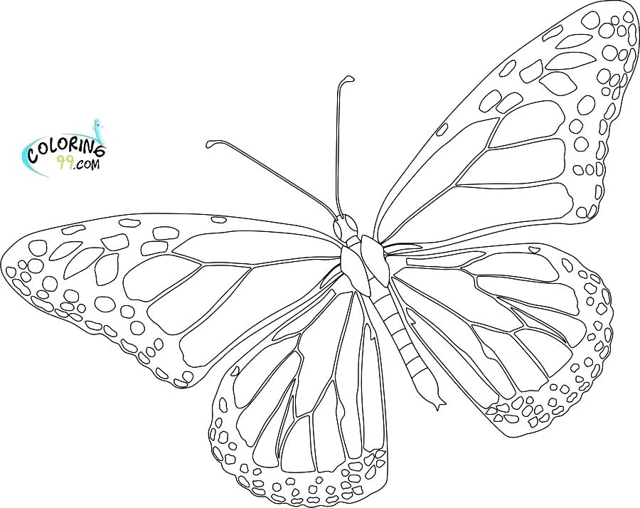Frog Life Cycle Coloring Pages For Preschoolers Frog Life Cycle 900x714 Frog Life Cycle Coloring Pages For Preschoolers Frog Life Cycle