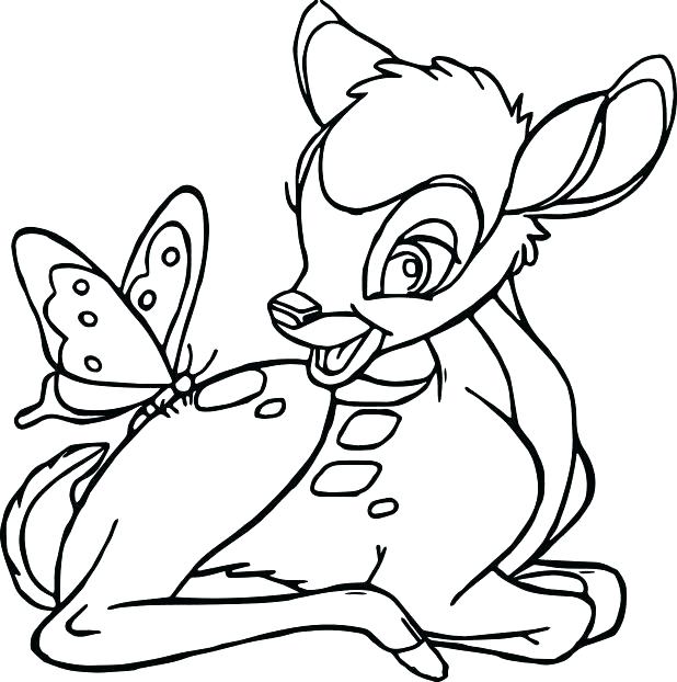 Life Cycle Butterfly Coloring Page Coloring Page 618x622 Life Cycle Butterfly Coloring Page Coloring Page