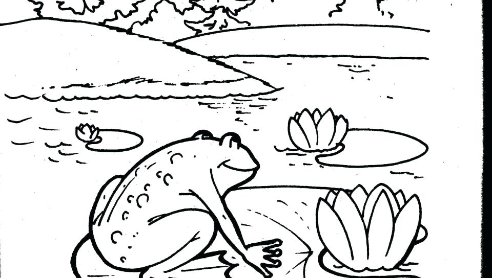 Monarch Butterfly Life Cycle Coloring Page Pages 960x544 Monarch Butterfly Life Cycle Coloring Page Pages