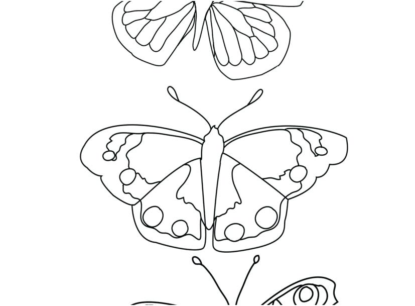 Butterfly Life Cycle Coloring Page at GetColorings.com | Free printable ...