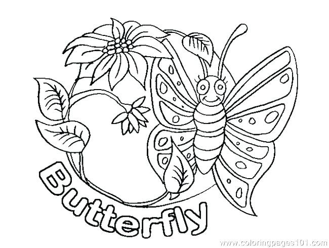 Small Butterfly Coloring Pages Printable Butterfly Life Cycle 650x490 Small Butterfly Coloring Pages Printable Butterfly Life Cycle