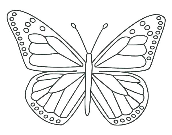 Butterfly Color Page Butterfly Life Cycle Coloring Page Coloring 600x470 Butterfly Color Page Butterfly Life Cycle Coloring Page Coloring