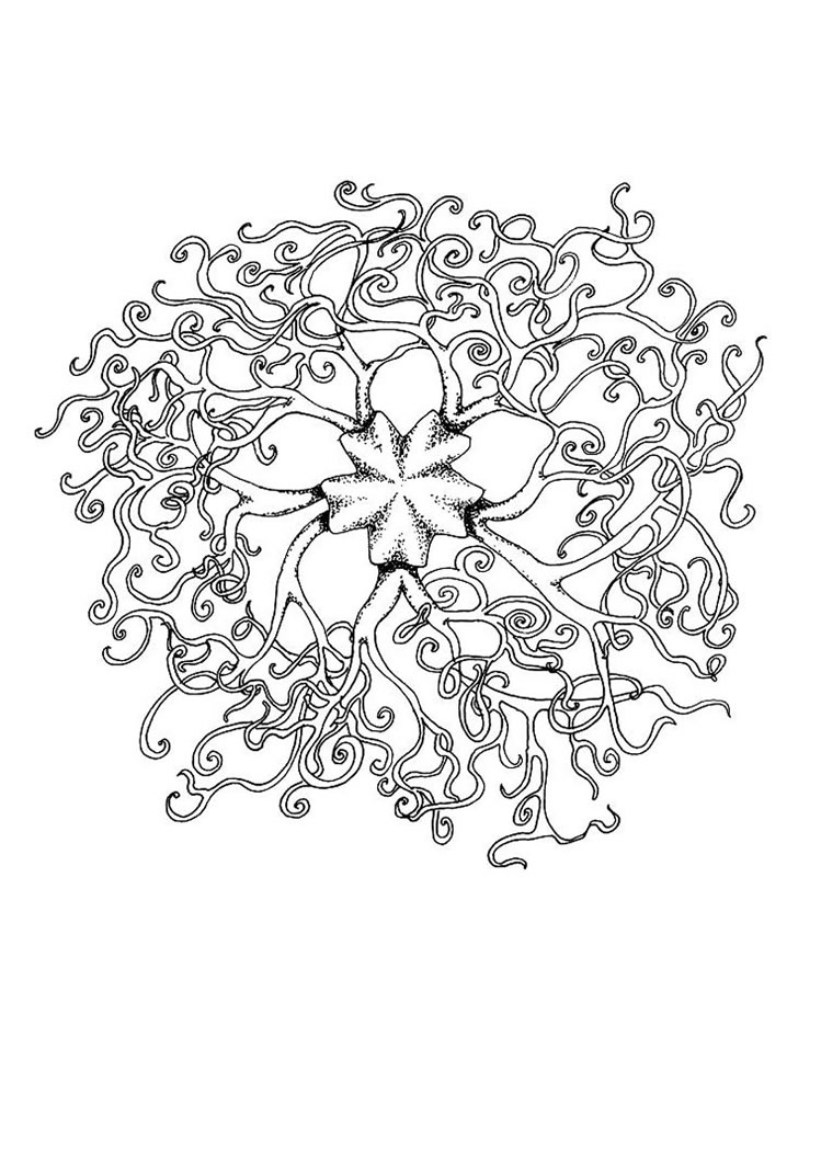 Butterfly Mandala Coloring Pages 749x1060 Butterfly Mandala Coloring Pages