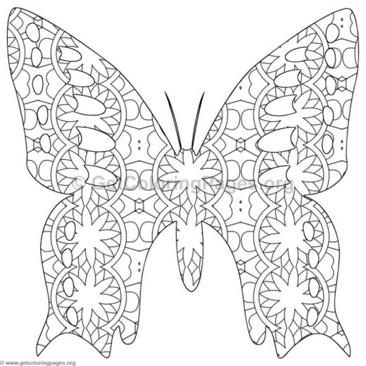 Detailed Butterfly Coloring Pages 520x520 Detailed Butterfly Coloring Pages