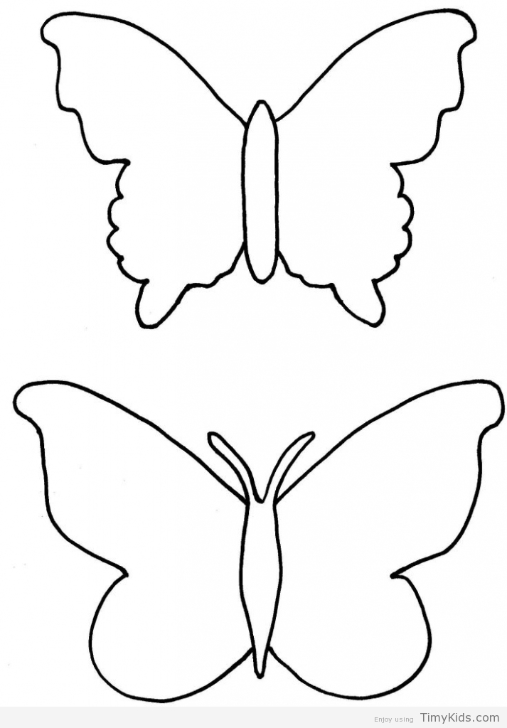Butterfly Outline Coloring Pages Timykids 713x1024 Butterfly Outline Coloring Pages Timykids