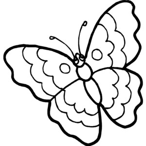 Butterfly Outline Clipart 300x300 Butterfly Outline Clipart