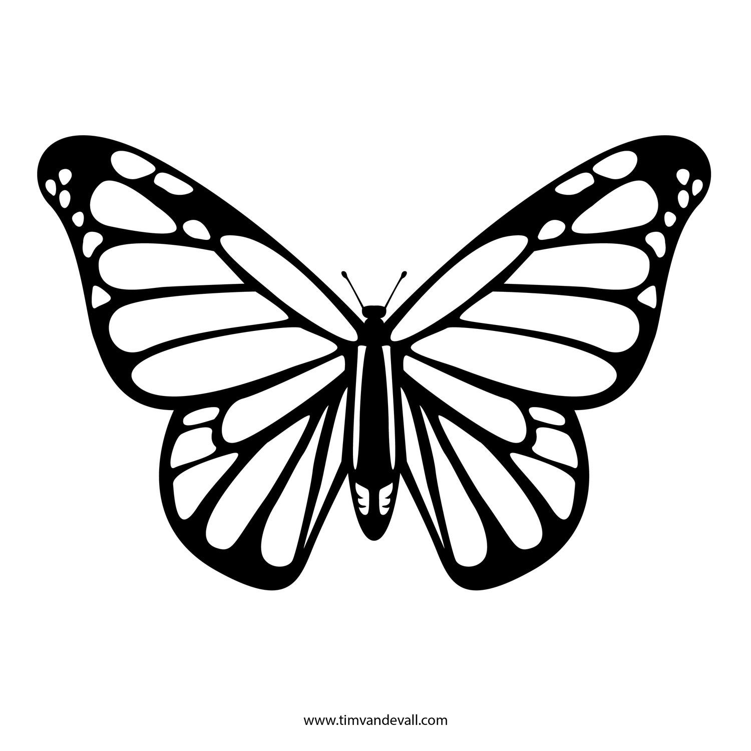 Butterfly Outline Printable Coloring Pages Autorespondersarena 1500x1500 Butterfly Outline Printable Coloring Pages Autorespondersarena