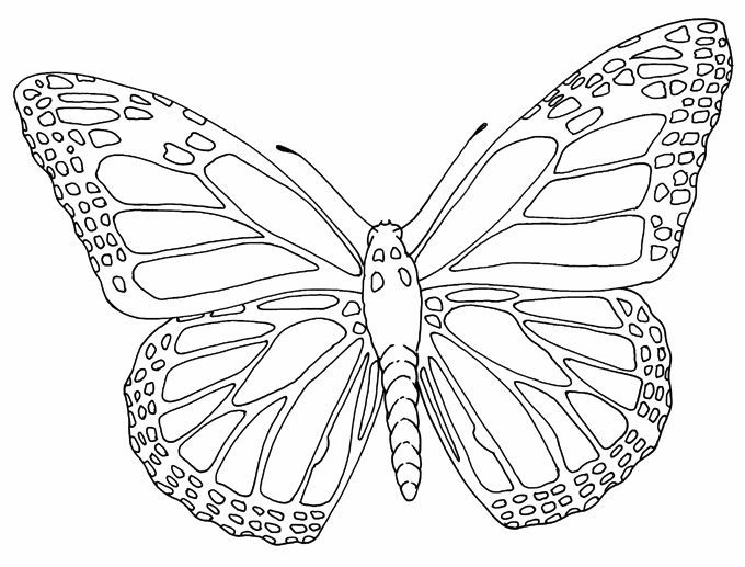 Insect Coloring Page Butterfly Outline Tattoos Butterfly 680x517 Insect Coloring Page Butterfly Outline Tattoos Butterfly