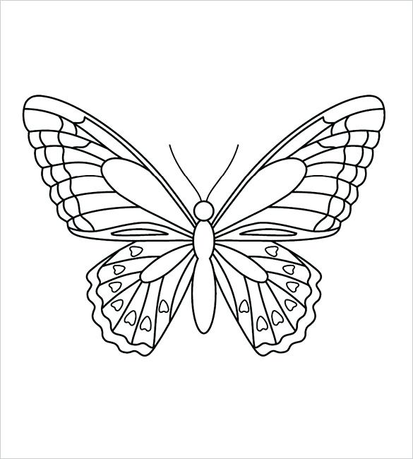 Outline Of Butterfly To Color Butterfly Outline Colouring Page 585x650 Outline Of Butterfly To Color Butterfly Outline Colouring Page