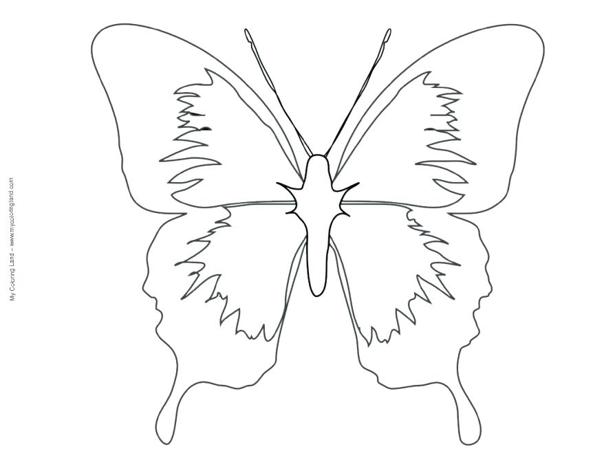 Share Various Butterfly Mask Printable Template Free Printable 878x678 Share Various Butterfly Mask Printable Template Free Printable