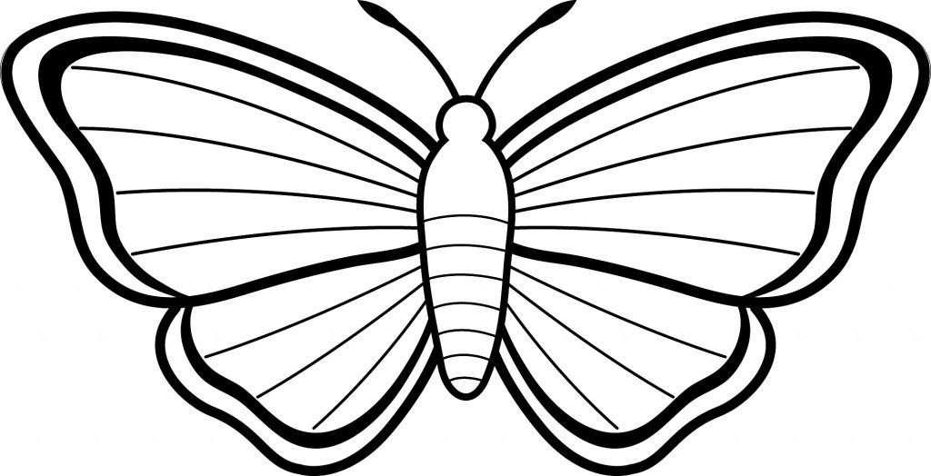 Simple Butterfly Coloring Pages Outlines Butterfly 1024x524 Simple Butterfly Coloring Pages Outlines Butterfly