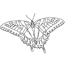 Top 50 Free Printable Butterfly Coloring Pages Online 230x230 Top 50 Free Printable Butterfly Coloring Pages Online