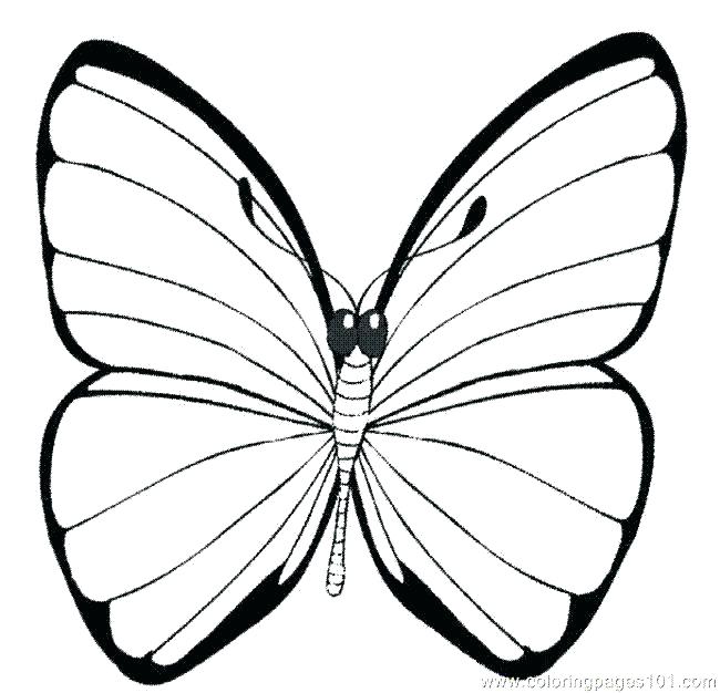Beautiful Butterfly Color Page Beautiful Butterfly Color Page 650x626 Beautiful Butterfly Color Page Beautiful Butterfly Color Page