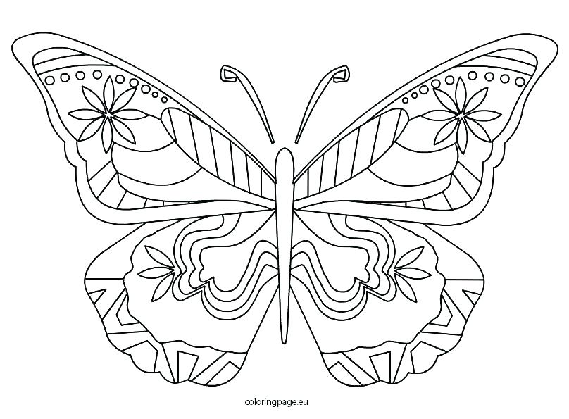 Butterfly Color Pages And Butterfly Outline Coloring Pages Free 808x595 Butterfly Color Pages And Butterfly Outline Coloring Pages Free