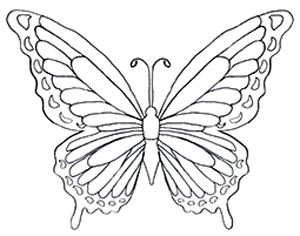 Butterfly Wings Coloring Pages