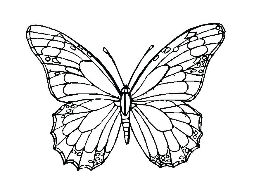 869x671 Simple Butterfly Coloring Pages Colouring Pages Of Butterflies