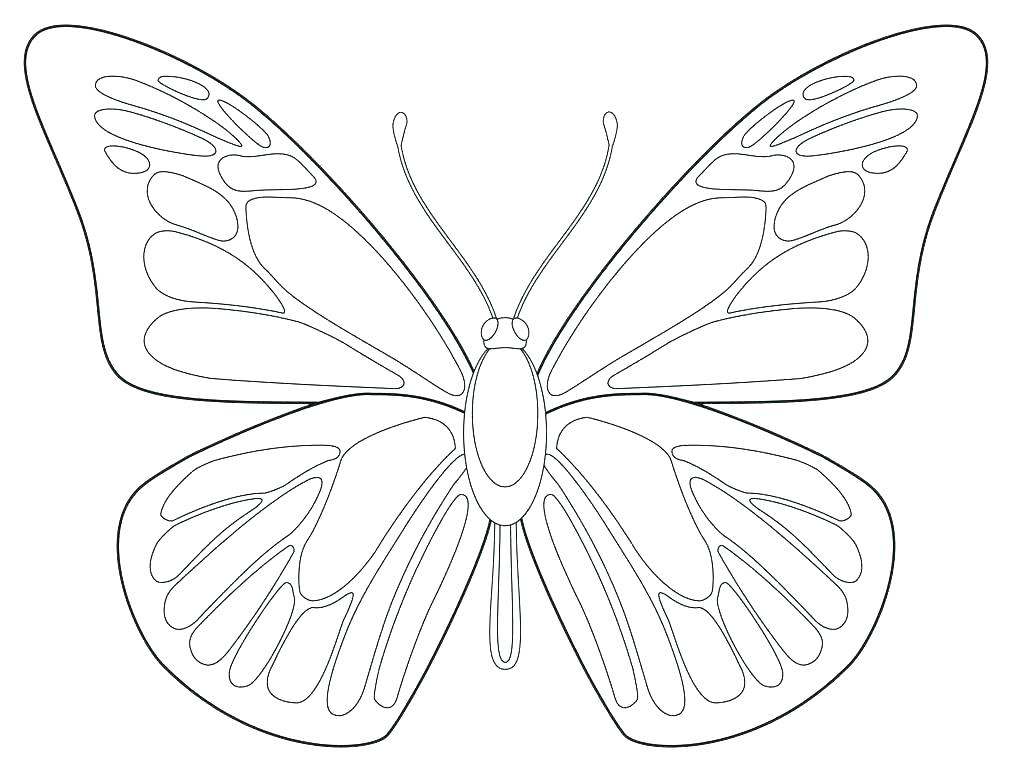 1012x766 Butterfly Coloring Book Butterfly Wings Coloring Pages Butterflies