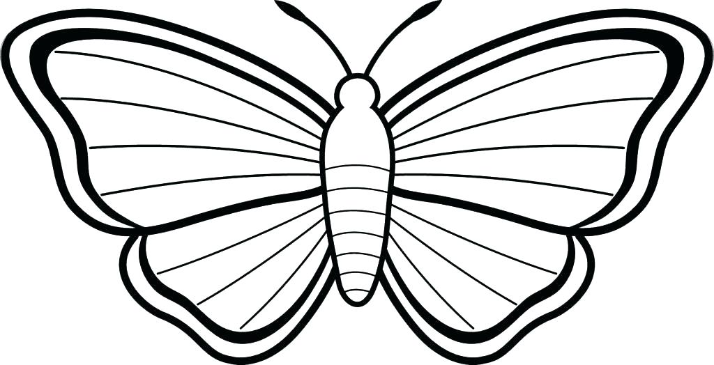 1024x524 Butterfly Wings Coloring Pages Butterflies Coloring Page Butterfly