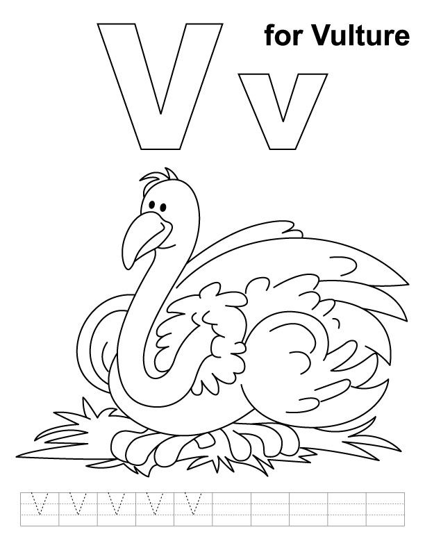 V For Vulture Coloring Page With Handwriting Practice Vulture 612x792 V For Vulture Coloring Page With Handwriting Practice Vulture