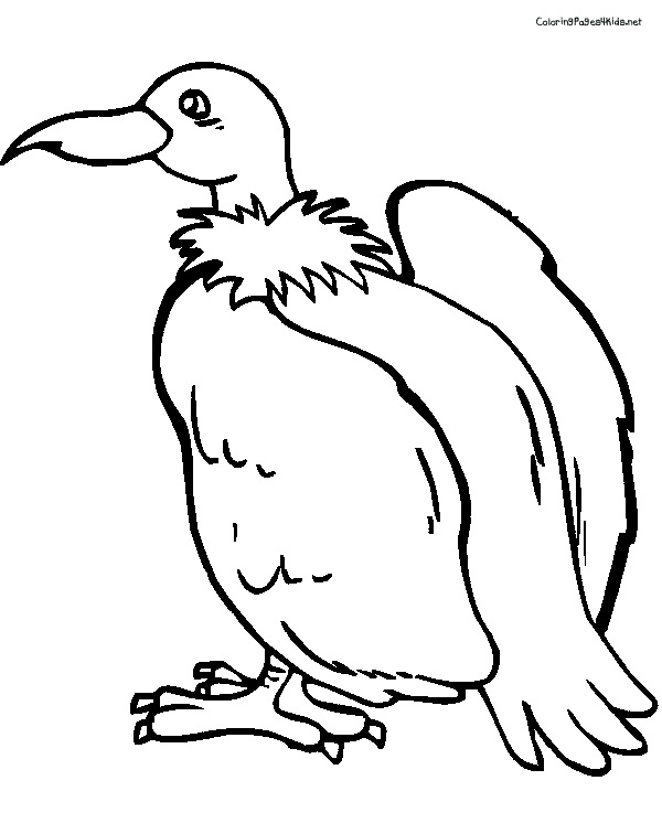 Vulture Coloring Pages 600x756 Vulture Coloring Pages