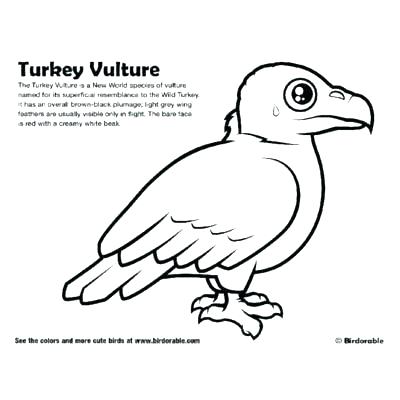 Buzzard Coloring Page at GetColorings.com | Free printable colorings ...