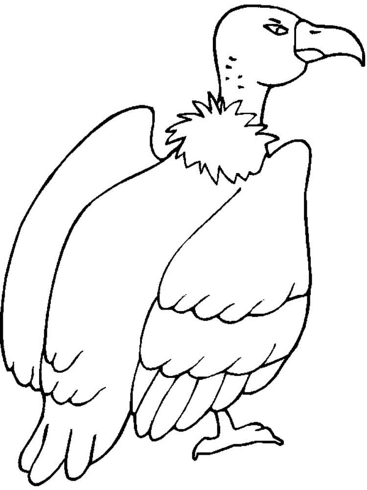 Vulture Coloring Pages. Download And Print Vulture Coloring Pages 750x1000 Vulture Coloring Pages. Download And Print Vulture Coloring Pages