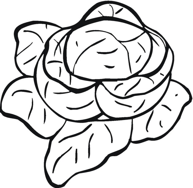 630x614 Vegetables Coloring Pages
