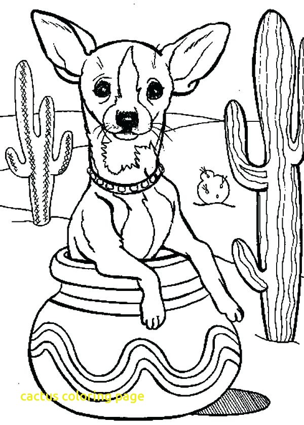 Cactus Coloring Page With Cactus Coloring Pages Nature Cactus 600x837 Cactus Coloring Page With Cactus Coloring Pages Nature Cactus