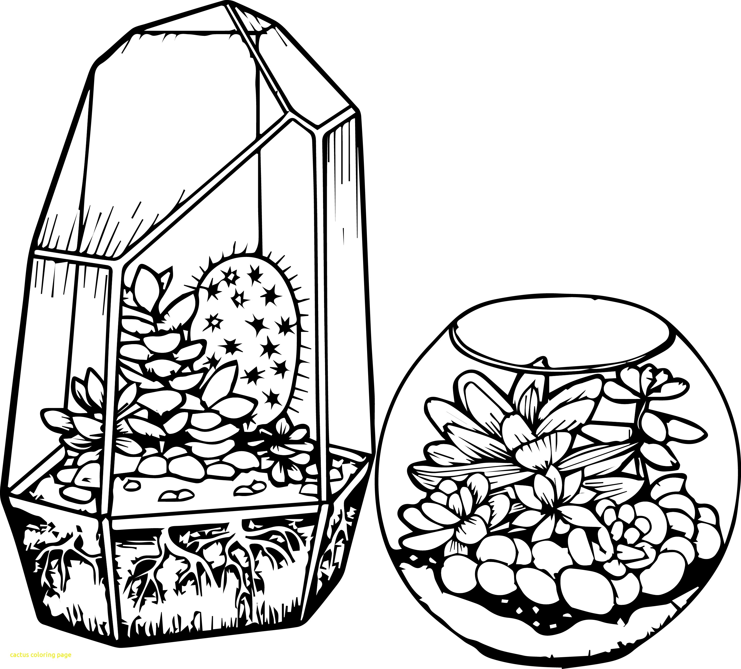 Cactus Coloring Page With Top Cactus Coloring Sheet 2 4103 2959x2669 Cactus Coloring Page With Top Cactus Coloring Sheet 2 4103