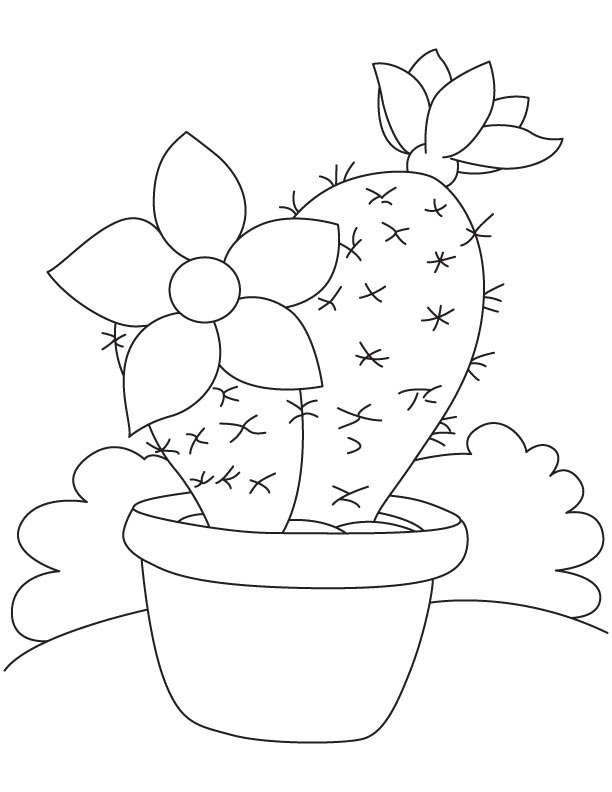 Cactus Coloring Pages 612x792 Cactus Coloring Pages
