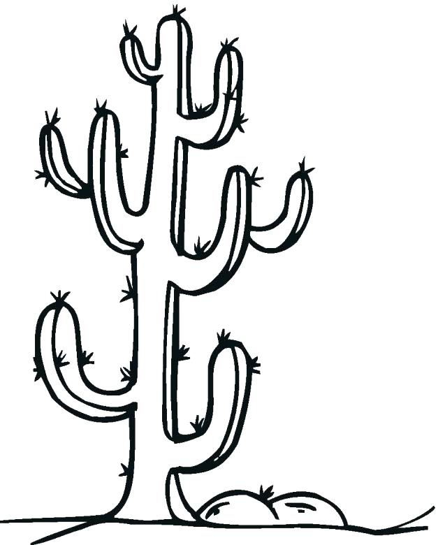 Cactus Coloring Pages Cactus Coloring Page Cactus Coloring Page 627x780 Cactus Coloring Pages Cactus Coloring Page Cactus Coloring Page