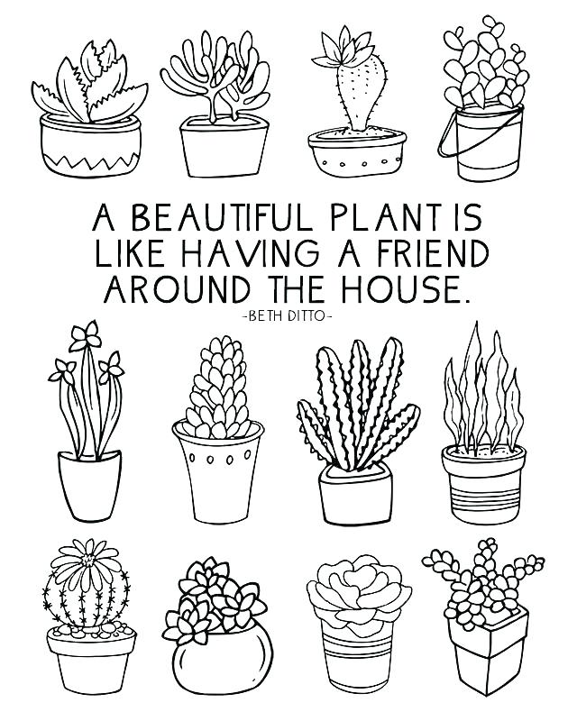 Cactus Coloring Pages Cactus Coloring Pages Cactus Coloring Page 640x800 Cactus Coloring Pages Cactus Coloring Pages Cactus Coloring Page