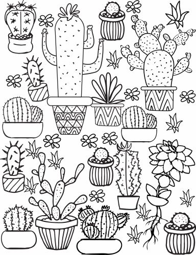 Cactus And Succulent Printable Adult Coloring Pages Adult 384x500 Cactus And Succulent Printable Adult Coloring Pages Adult