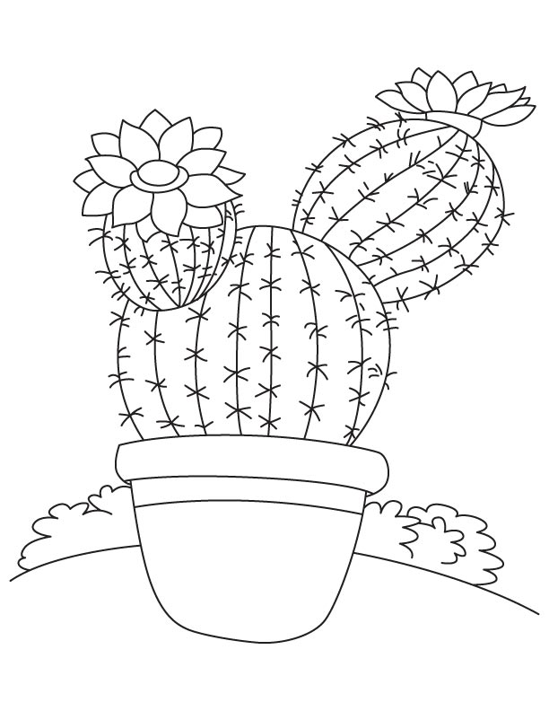 Cactus Coloring Page Amazing Cactus Coloring Page 98 On Model 612x792 Cactus Coloring Page Amazing Cactus Coloring Page 98 On Model