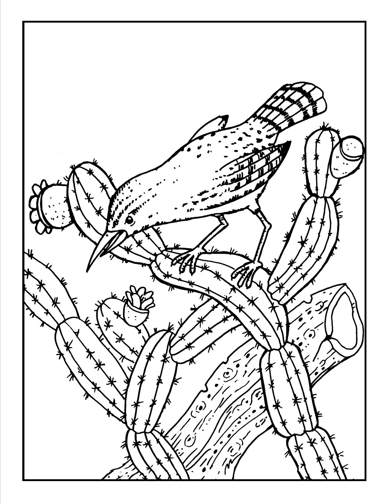Free Printable Cactus Coloring Pages For Kids 1275x1650 Free Printable Cactus Coloring Pages For Kids