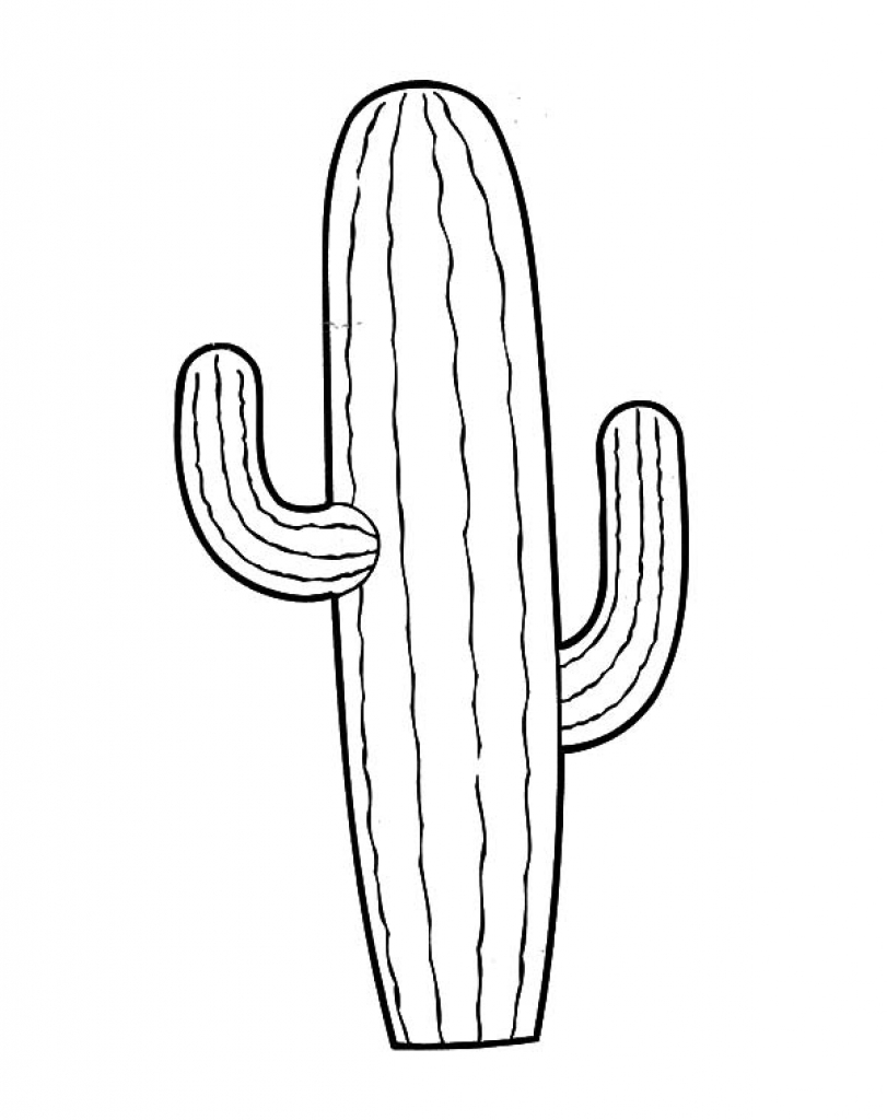 Impressive Cactus Coloring Sheet 24 Page 811x1024 Impressive Cactus Coloring Sheet 24 Page