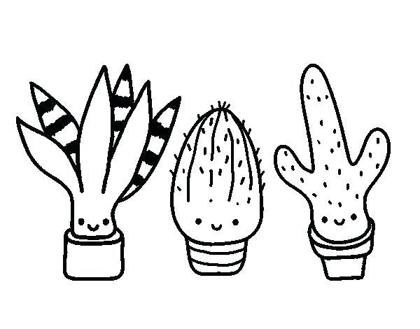 Cactus Coloring Pages Shippa.co 600x470 Cactus Coloring Pages Shippa.co